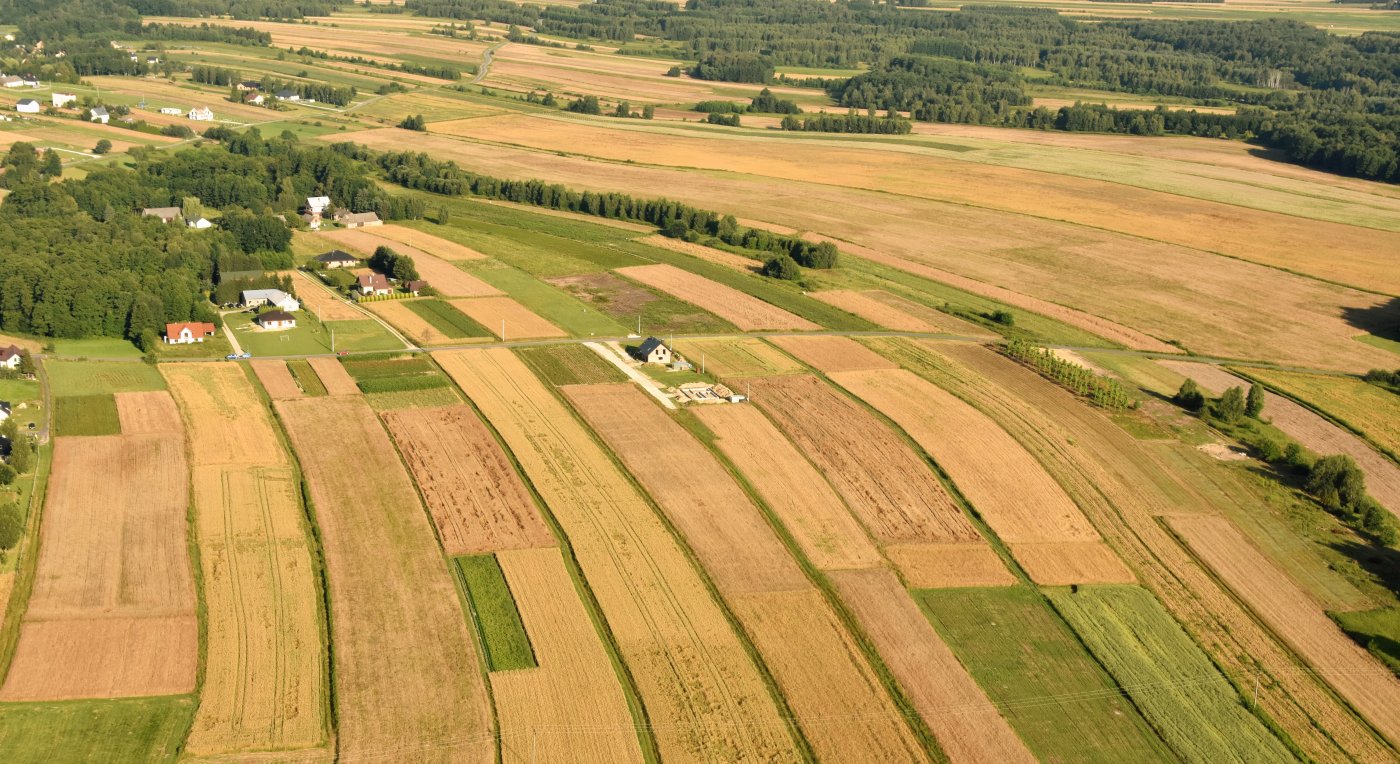 Gleboznawcza klasyfikacja gruntu